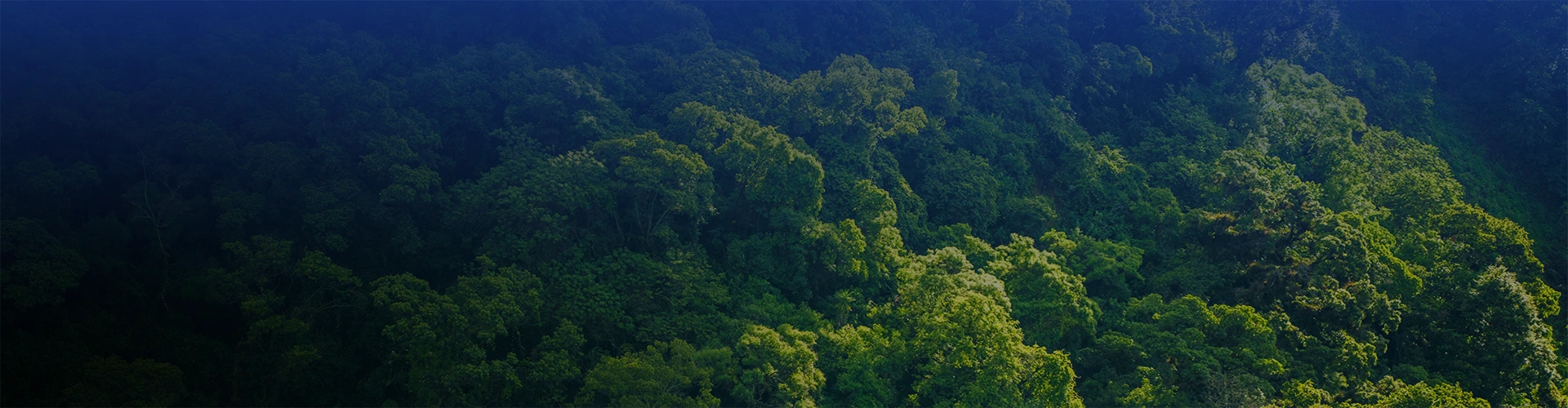 Sustainability Banner